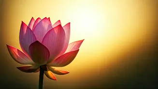 Sadhguru's 10 Pillars of Joyful Parenting: Nurturing Confident, Blossoming Children