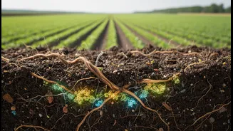 Beneficial Bacteria Have Entered Climate Farming