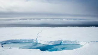 The New Arctic Cloud-Particle Study Offers New Clues About Particles Near Melting Sea Ice