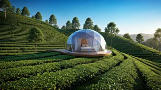 Munnar Tea Plantations Hide Ultimate Private Glamping Dome Experience