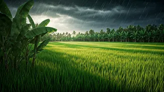 Why Savvy Travellers Head South As Kerala Monsoon Arrives