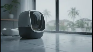 Cat Parents Have Entered Monsoon Odour Season