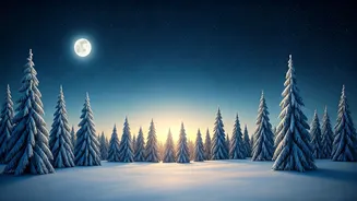 Snow Moon & Emotions: February's Full Moon Effect