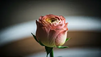 Related Stories banner