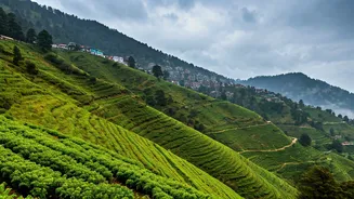 Shimla's Refreshing Rain: Tourists Flock to Himachal Pradesh as Temperatures Plummet