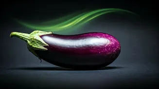 Related Stories banner