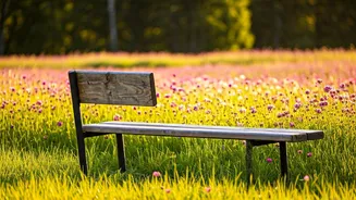 Boredom's Unexpected Path to Happiness: A Harvard Insight