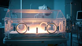 Beyond Access: Elevating India's Maternal Healthcare for Better Outcomes