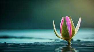 Beyond Stereotypes: A Belgian Traveler's Astonishing First Impressions of India