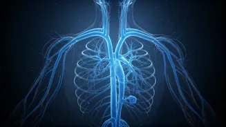 Feeling the Chill? 3 Biological Reasons for Increased Cold Sensitivity