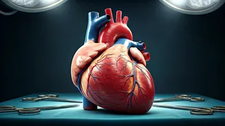 Frankenstein: Anatomy Lesson - Where to Watch?