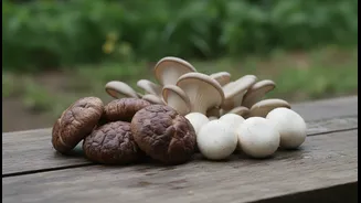 India's Monsoon Kitchens Are Embracing Mushrooms