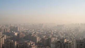Delhi Air Pollution UN Report And The Latest Update