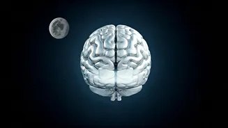 The Moon & The Mind: A Cosmic Connection