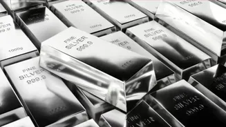 Silver ETF Shocker: 20% Crash Wipes Out Multibagger Dreams — What's Behind the Sell-Off?