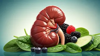 Kidney Health: Simple Steps for a Healthy You!