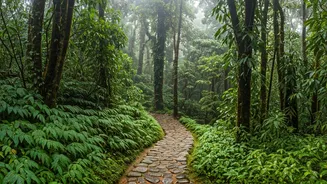 Why Monsoon Discounts Attract Corporate Youth Groups To Green Wayanad