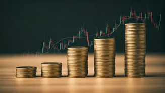 Indian Market's Fair Value & Future Outlook