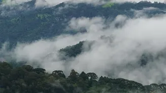 Monsoon Weekend In The Western Ghats? Pack These Practical Travel Essentials
