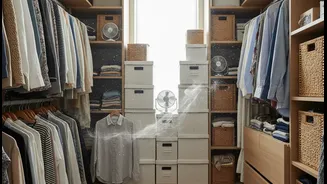 How Renters Optimise Airflow Currents To Prevent Mould Settlements In Densely Packed Closets