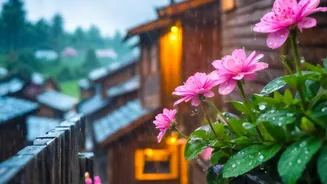 Modular Rain Protection Systems Allow Balcony Gardens To Survive Intense Monsoon Downpours