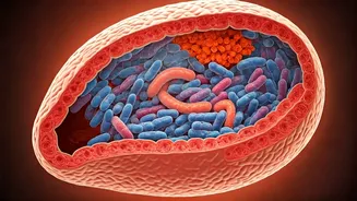 Gut Health & Mood: The Connection Unveiled