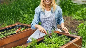 Simple Eco-Friendly Gardening Hacks Create Nutrient-Rich Compost From Kitchen Scraps And Coffee Grounds
