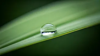 Byron Katie's Wisdom: Finding Peace by Reframing Life's Events