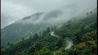 Rain Doesn't Have To Ruin Your Himachal Trip