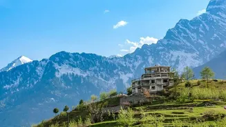 Workation guide: Discovering peaceful homestays and reliable broadband in Himachal's Dharamkot and Andretta