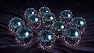 Unveiling Intentions: 10 Behaviors That Speak Volumes