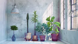Heavy Rain, Humidity And Indoor Air: What Indian Homes Should Know