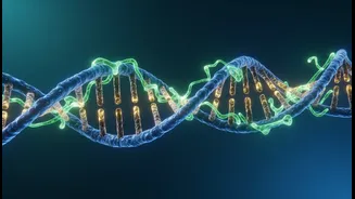 Why semaglutide clinical trial breakthroughs offer innovative solutions for healthy human aging