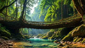 One Destination, Endless Experiences