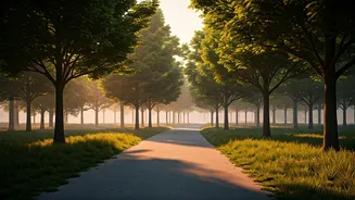 Evening Walks Replace Intense Gym Sessions