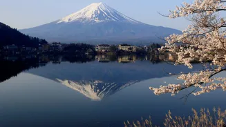 Japan tourism sees record Indian arrivals in 2025 as travel expands beyond cherry blossom season