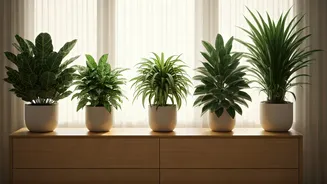 Related Stories banner