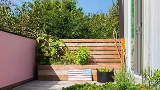 Indian Homes Are Bringing More Native Plant Choices Into Small Outdoor Spaces