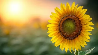 Redefine Success: Embrace Happiness in Every Day for a Fulfilling Life