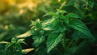 Related Stories banner