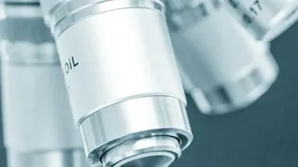 OpenEvidence to offer free AI for doctors