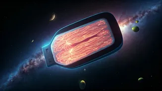 NASA Sends Mini Human-Tissue Models Into Deep Space