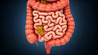 10 Gut-Healing Habits: Simple Daily Steps for a Happy Gut