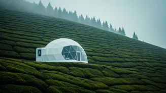 Misty Chikmagalur Geodesic Domes Form The Dreamiest Couple Escape