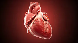 Uric Acid Rising in Young Indians: Heart Health Concerns