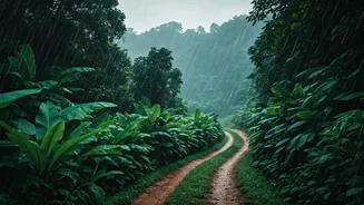 Rainy Kerala Trips Need Flexible Itineraries