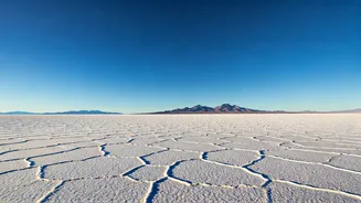 Unveiling Rann of Kutch: Timing, Wonders & Experiences