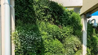 The New Small-Space Gardening Trend Makes Walls And Railings For Plants Worth Considering
