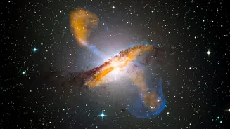 Gravitational Wave Observatories Uncover Clues On Galactic Growth From Intermediate-Mass Mergers