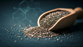 Chia Seeds Could Be Your Brain's New Best Friend